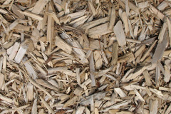 biomass boilers Will Row